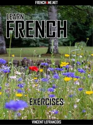 cover image of Learn French--Exercises